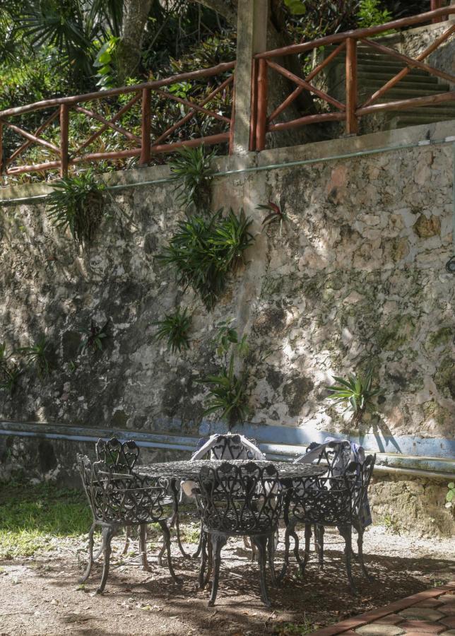 Alojamento de Turismo Selvagem Seven Blue House Village & *